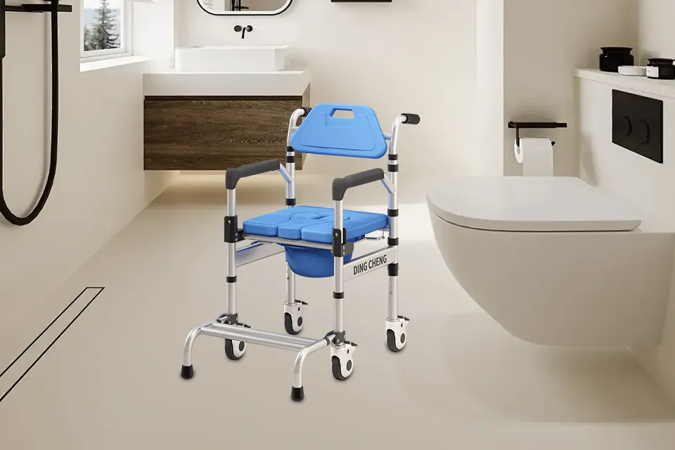 Features de latrina chairs cum rotis